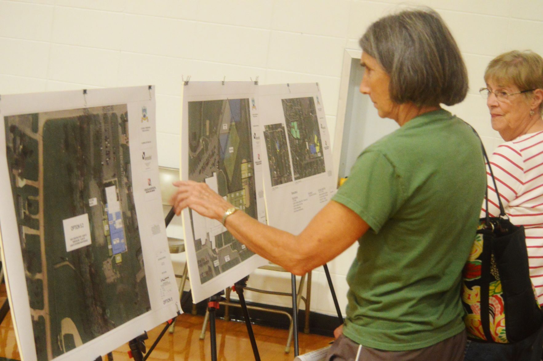 Le Sueur-Henderson referendum